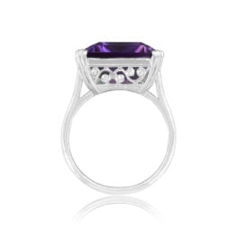 Side View Prong-Set Amethyst Ring Manitoba Ring 15350